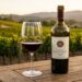 Ly Napa Valley Cabernet Sauvignon tại Thung lũng Oakville