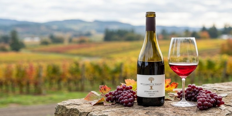Vẻ thanh lịch của Oregon Pinot Noir từ Willamette Valley